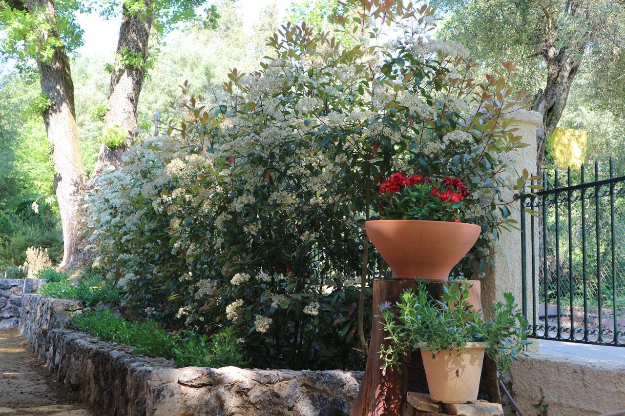 Villa Magia Ypsos Extérieur photo